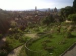 Firenze dalla collina